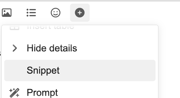 Insert Snippet
