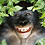 Andre_Thiel