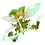 Marie-Eve_Beauchemin